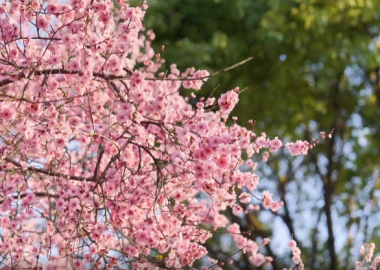 視頻丨郵儲鎮江發力，句容特色民宿奏響鄉村旅遊振興樂章_fororder_微信圖片_20251027152554