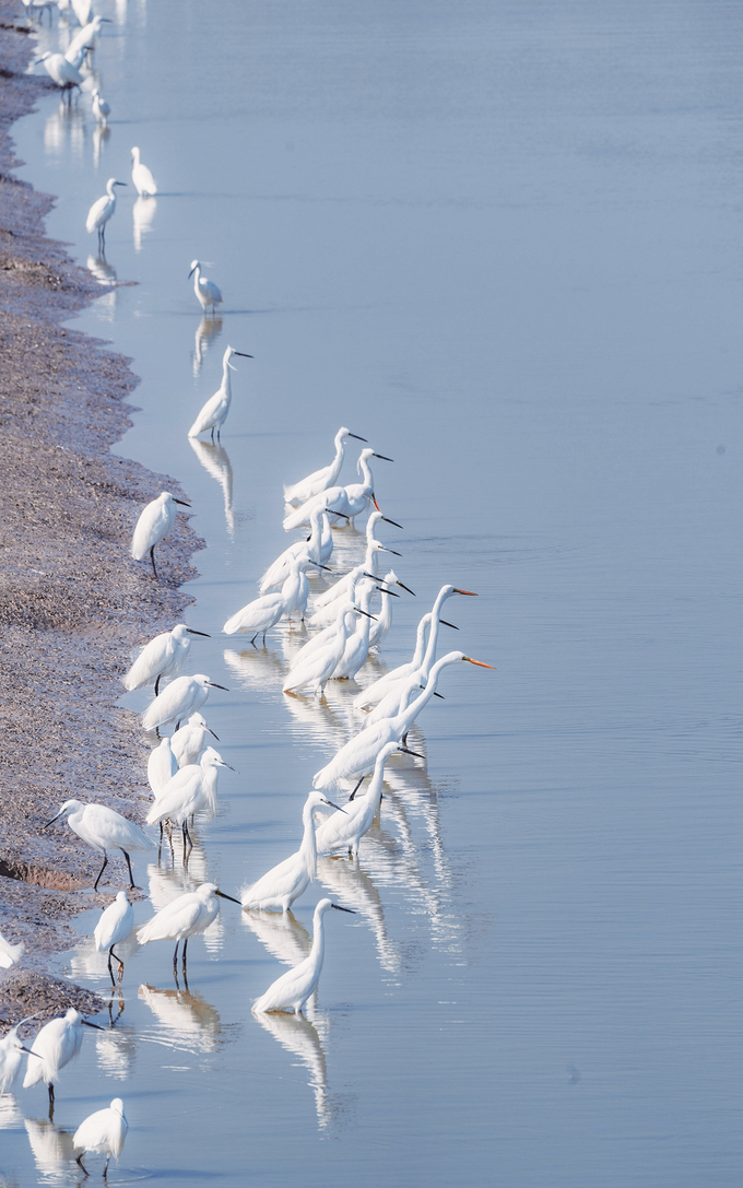 如東：長風萬里繪新綠_fororder_微信圖片_20251230094114