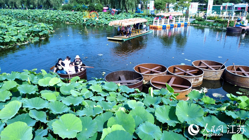 南京棲霞區：“荷經濟”串成鏈_fororder_LOCAL1752191430640CR57DK874U.JPG
