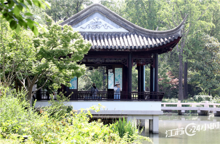 蘇州：虎丘綠意濃_fororder_gegXABuiBpTYGJzf1EympYDJ