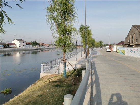 泰州興化戴南“非遺文化墻”成為“水上賽道”新景觀_fororder_圖片1