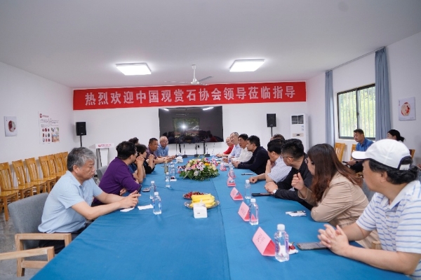 雨花石地質公園亮相南京礦博會 壽嘉華等專家考察園區建言獻策_fororder_圖片6_副本
