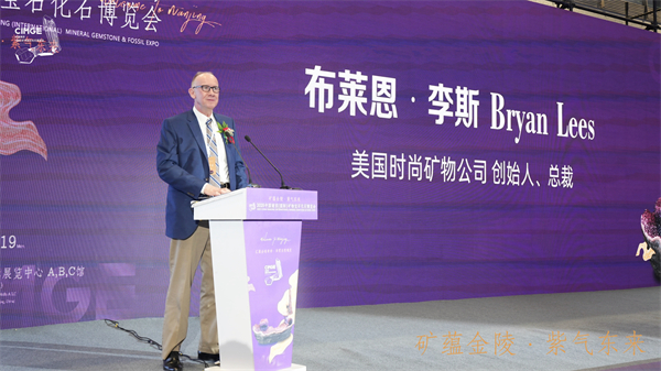 從紫晶“寶船”到國際論壇 2025南京礦博會打造全球礦物文化交流高地_fororder_29