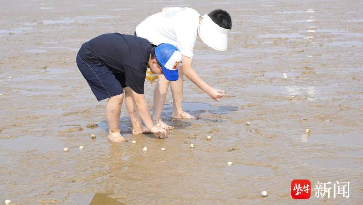 灘塗尋蛤、漁港搶鮮 上海家庭樂遊江蘇如東之“鮮”——“吃得好、住的好，下次還要再來！”