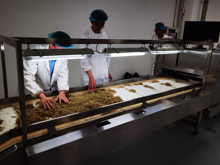 首批試點滿一年，長三角創新聯合體探索了什麼？