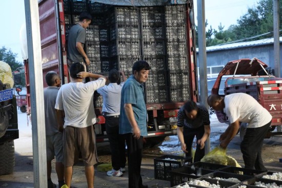 産業幫扶 蘇陜協作助力延川蠶桑業駛入“快車道”_fororder_圖片 5