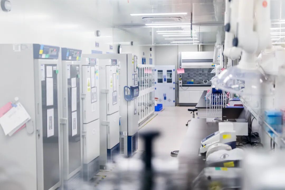 42米巨屏裏的江北