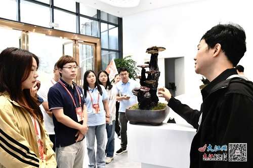 【不忘來時路 奮進新征程】林下有好貨 一朵靈芝拓展循環林業發展之路