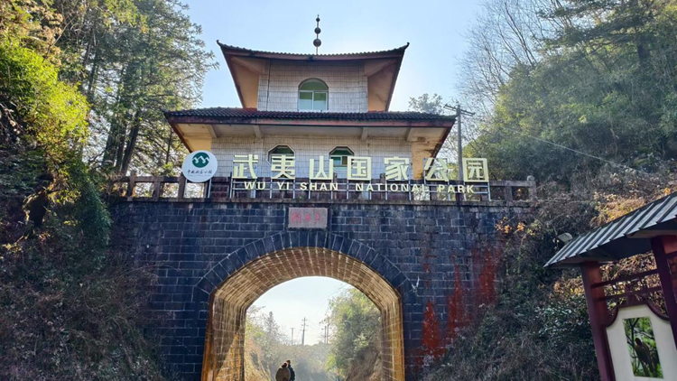 冬日探秘武夷山國家公園：“世界生物之窗”繪就生態富民新圖景