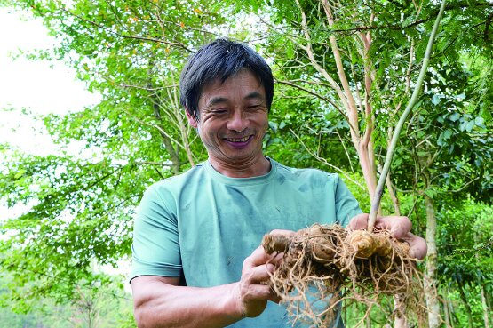 江西銅鼓縣花山林場：深化林改促“綠富”雙贏