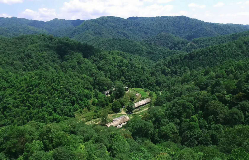 不忘來時路 奮進新征程｜江西萬載縣抓好六項深化集體林權制度改革工作_fororder_圖片2