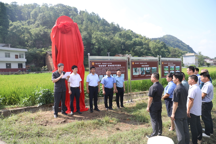 江西宜春袁州區人民法院：揭牌成立“糧安稻香”耕地修復示範基地_fororder_微信圖片_20240816152323