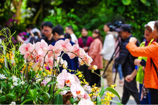 2025中國（南昌）花園節暨首屆南昌園藝展9月29日開幕 十大主題展區詮釋花園生活新方式_fororder_2025中國718