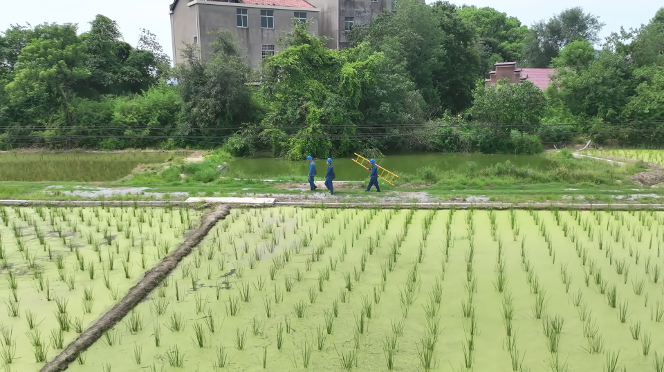 國網豐城市供電公司：點亮萬家燈火 情暖一方鄉土_fororder_微信圖片_20250718171728