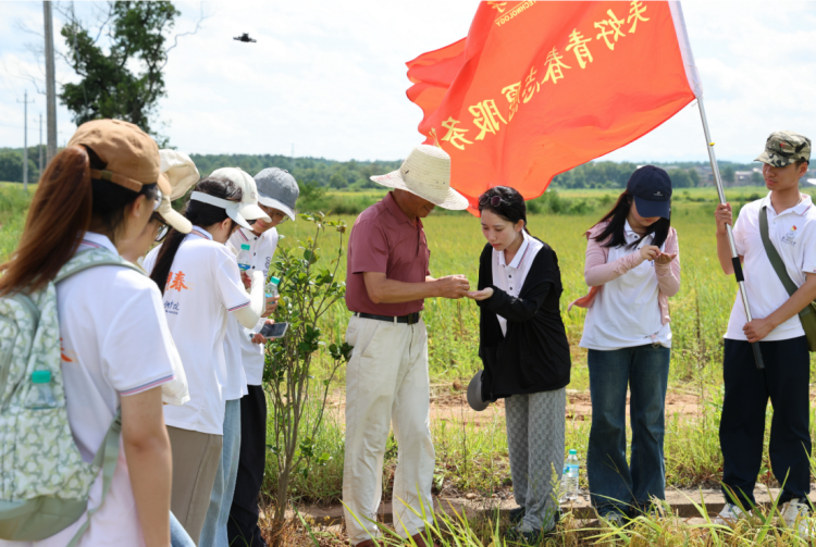 東華理工大學：美育啟航“桐坪”共振 繪就鄉村振興新圖景_fororder_圖片4