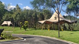 路景融合，道通業興：婺源公路為最美鄉村注入新活力