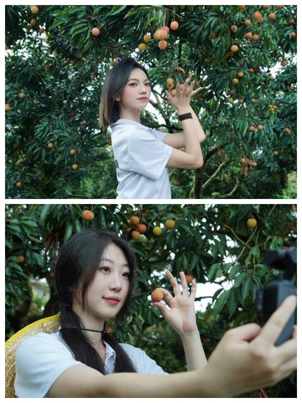 瀝林荔枝紅，青春“雲”助農——南昌理工學院學子“三下鄉”記_fororder_1_副本_副本