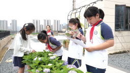 南昌市舉辦2025年國際生物多樣性日主題宣傳活動