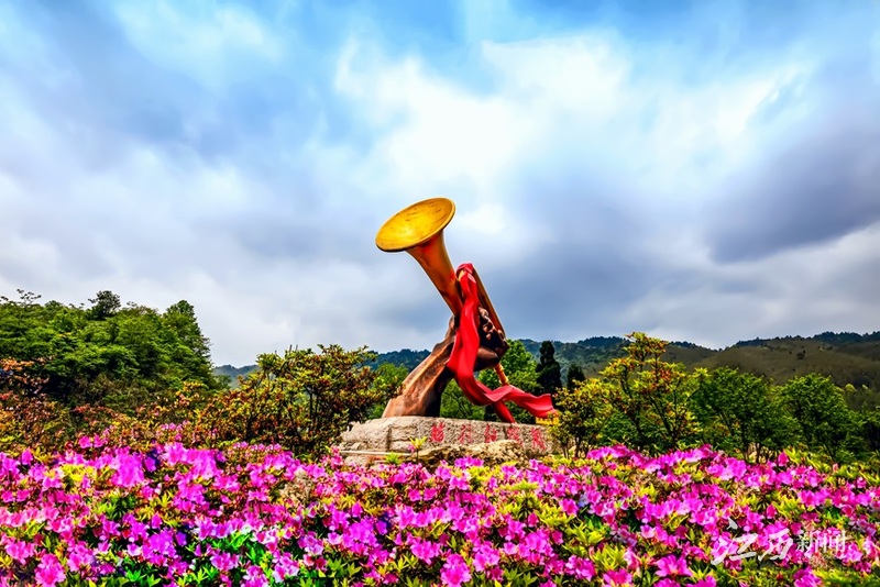 杜鵑花開！江西井岡山再次發出春日浪漫之約