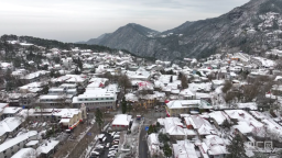 冰裹桃紅三月雪：廬山美景驚遊人