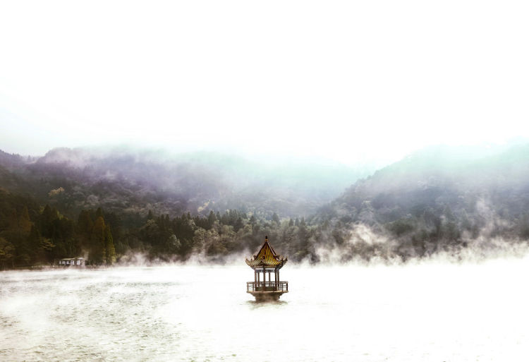 以鏡頭為媒,共繪“天下悠”之境——“讓世界看見廬山”國際攝影采風活動側記