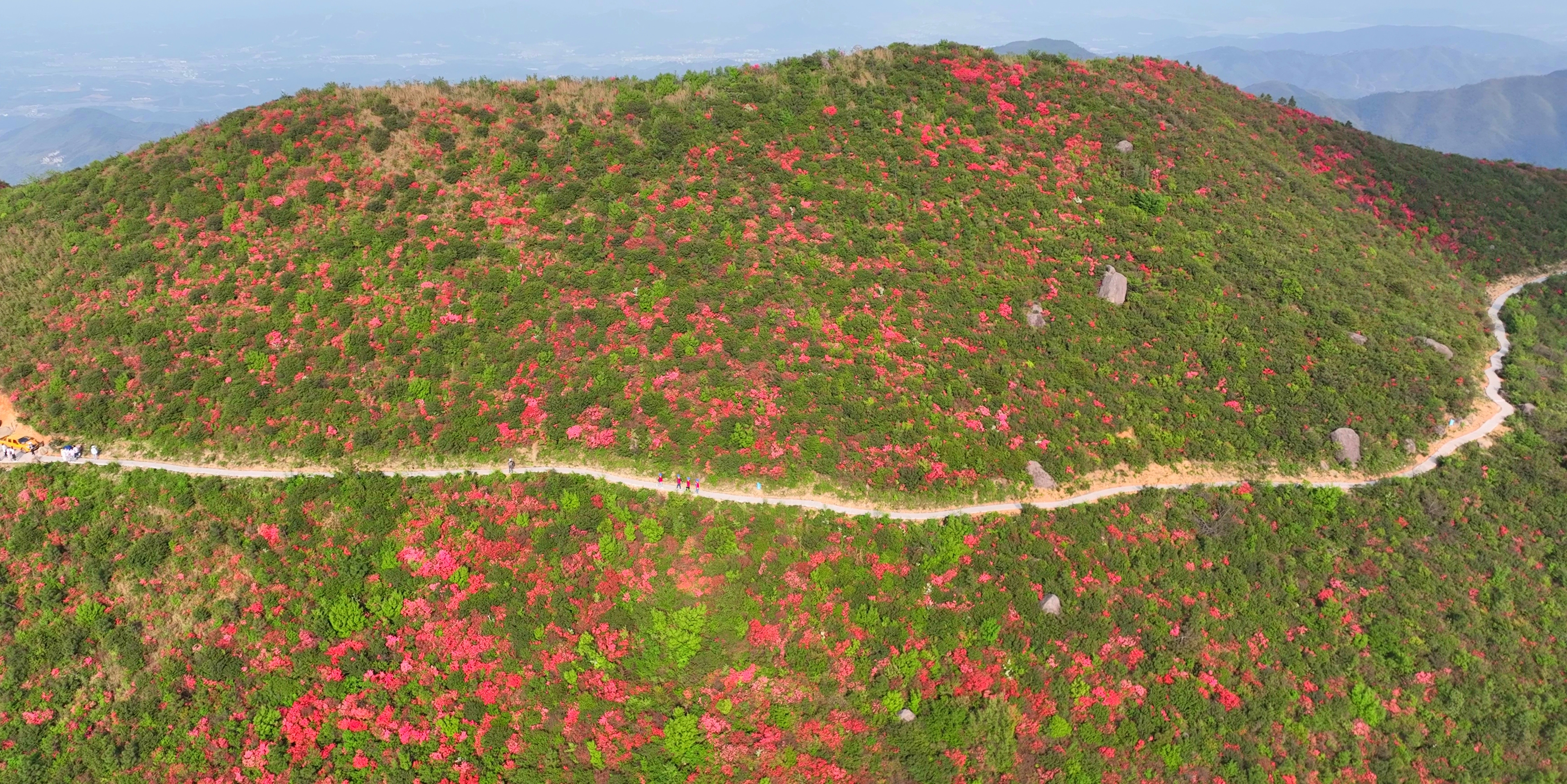 國網豐城市供電公司：紅霞漫山時 銀線護春忙_fororder_微信圖片_20250421154957