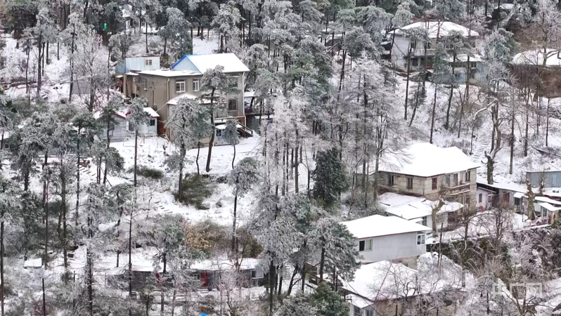 冰裹桃紅三月雪：廬山美景驚遊人
