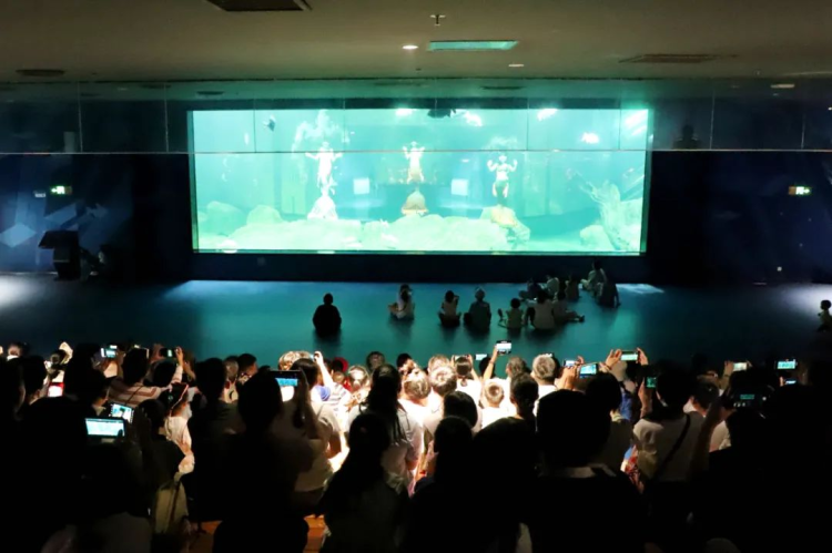 江西湖口：探秘江豚灣，樂享親子科普_fororder_圖片5
