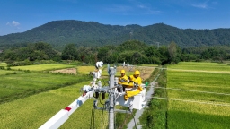 國網靖安縣供電公司：秋檢不從“簡” 帶電不停歇