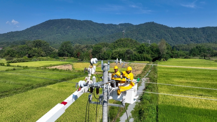 國網靖安縣供電公司：秋檢不從“簡” 帶電不停歇_fororder_微信圖片_20250918113803