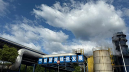 黑貓“奮楫”：一池“墨金”涌新潮