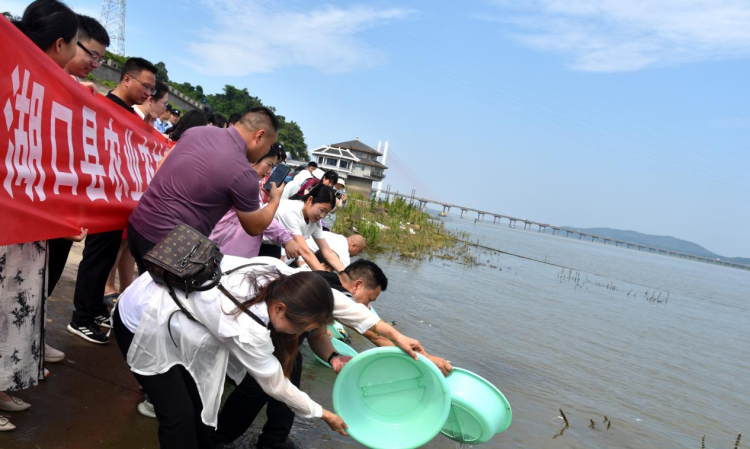 江西湖口：網絡達人打卡政府開放日 一場增殖放流激活生態共治“流量密碼”_fororder_圖片21