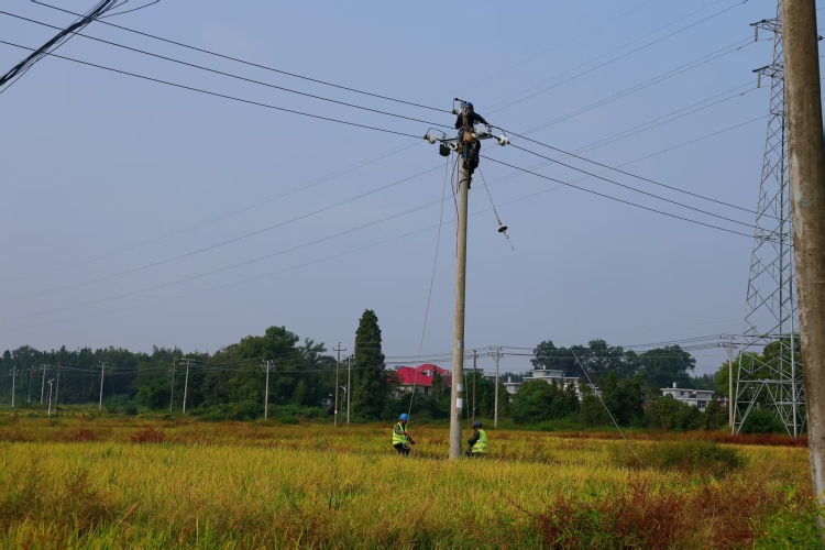 國網宜豐縣供電公司：線路改造 電暖秋冬_fororder_微信圖片_20251021165228