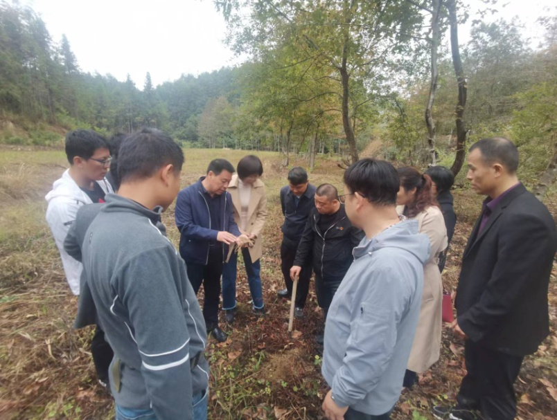 種下一顆“搖錢樹”：黃精變“黃金”——江西省科技廳銅鼓中藥材服務團工作札記_fororder_圖片5