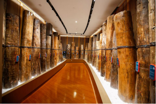 “高品質發展中國行・煥新江西”:贛州三地探新路 老區産業加速跑_fororder_高品質發展中國行・煥新江西1243