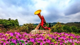 杜鵑花開！江西井岡山再次發出春日浪漫之約