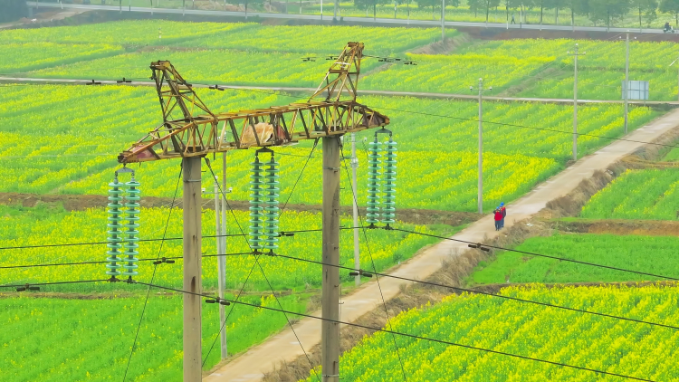 國網豐城市供電公司：高標準農田建設添“電”力 鄉村振興展現新“豐”景_fororder_微信圖片_20250826102608