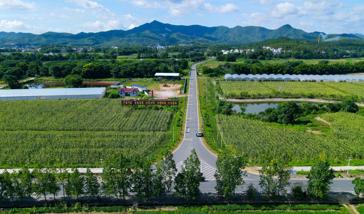 江西贛州：路衍新景 一路通百業興_fororder_圖片1