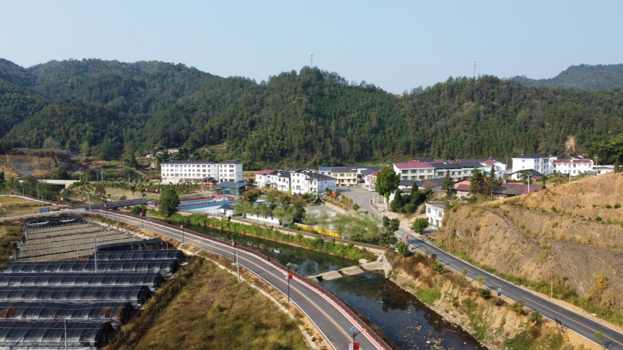 種下一顆“搖錢樹”：黃精變“黃金”——江西省科技廳銅鼓中藥材服務團工作札記_fororder_圖片6