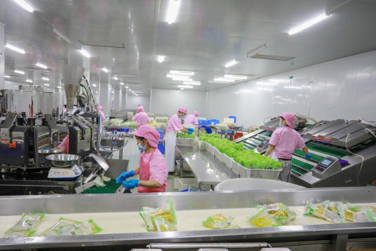 生態為筆，文化為墨：樂安繪就綠水青山“生金答卷”_fororder_圖片11