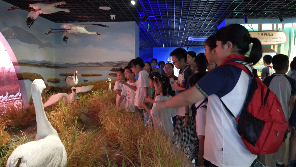 南昌市舉辦2025年國際生物多樣性日主題宣傳活動_fororder_圖片7