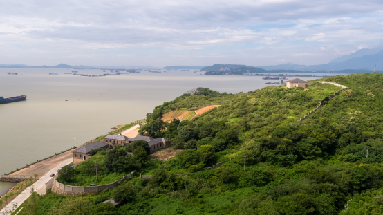 九江長江畔的“綠色轉身”：一場跨越千年的文明對話_fororder_九江長江畔的綠色轉身1253