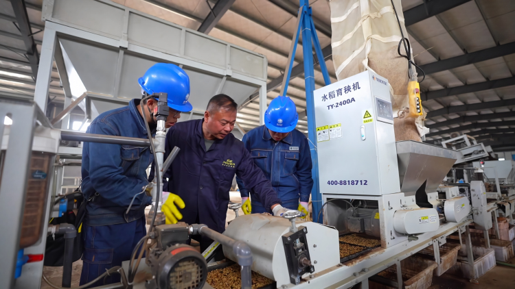 國網豐城市供電公司：“智”秧破土 電涌春潮_fororder_微信圖片_20250319142759