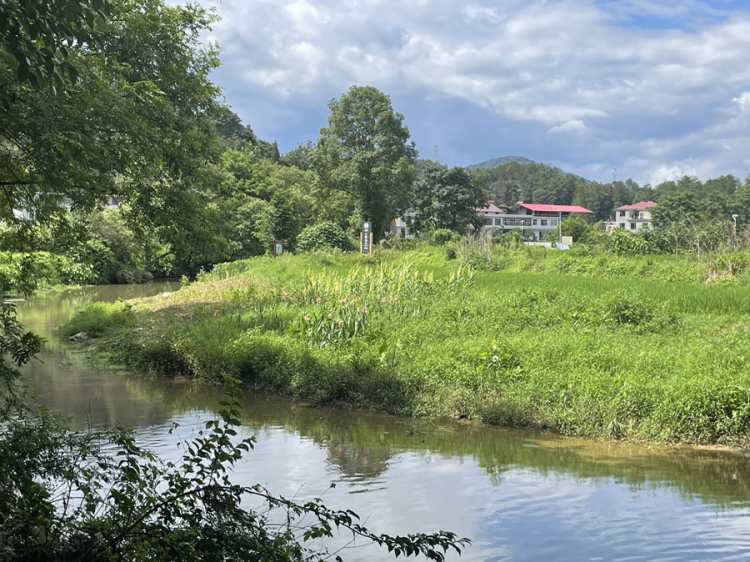 執生態之筆 興贛鄱鄉村——江西小微濕地解鎖“綠富美”振興密碼_fororder_萬載縣赤興鄉鏡山村小微濕地現狀2