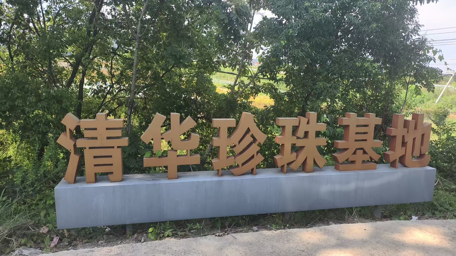 金路鏈動城鄉,萬年織就幸福網_fororder_44401c4b0be59832a903ade2a8bd488c