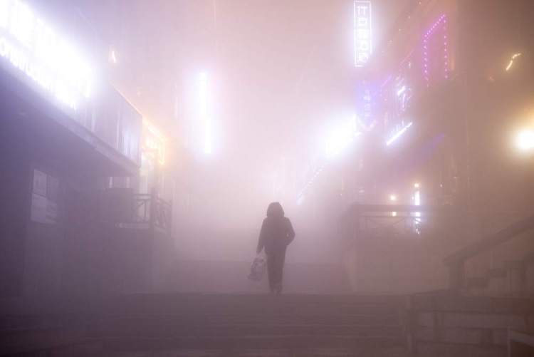 以鏡頭為媒,共繪“天下悠”之境——“讓世界看見廬山”國際攝影采風活動側記