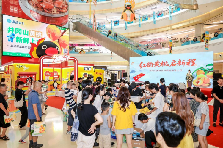 江西井岡山：以黃桃為媒牽手盒馬鮮生 讓生態珍品變身鄉村振興 “富民果”_fororder_圖片33