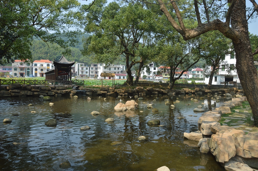 執生態之筆 興贛鄱鄉村——江西小微濕地解鎖“綠富美”振興密碼_fororder_2安福縣羊思慕鎮樓下村小微濕地