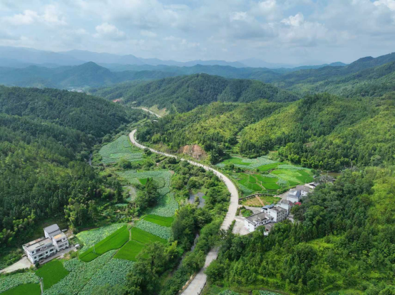 江西石城：“四好農村路”繪就鄉村振興新畫卷_fororder_江西石城681