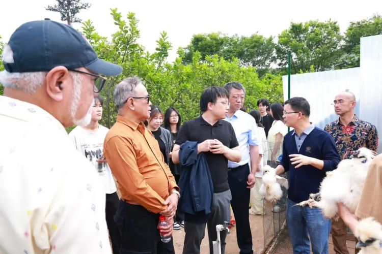 印尼斯特拉班薩大學亞伯拉罕·利楊托一行來我校調研考察_fororder_微信圖片_20250416171357